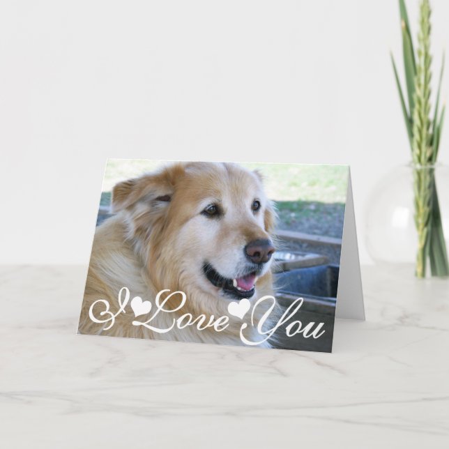 Golden Retriever Photo Image I Love You Card (Front)