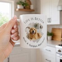 Golden Retriever Photo Life Is Better