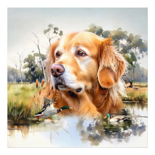 Golden Retriever Photo Print