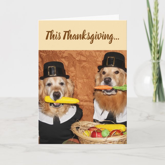 Golden Retriever Pilgrim's Bounty Thanksgiving Card (Front)