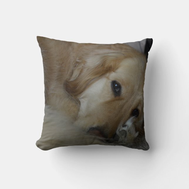 Golden retriever pillow (Front)