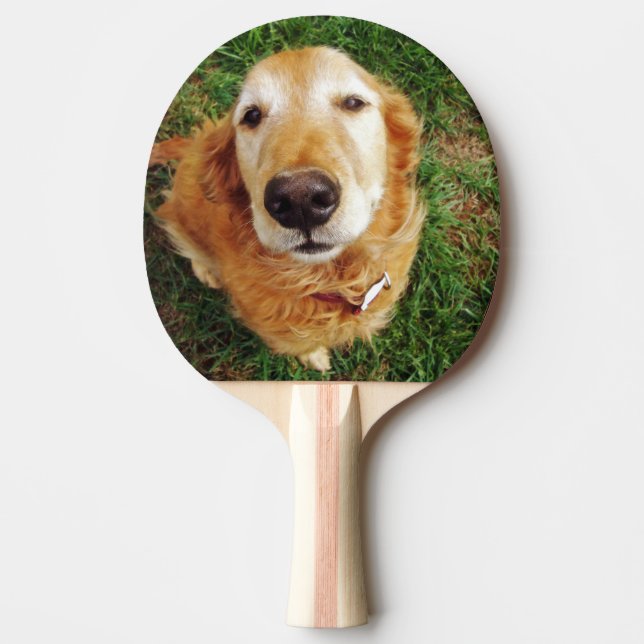 Golden Retriever Ping Pong Paddle (Front)