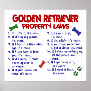 GOLDEN RETRIEVER PL2 POSTER