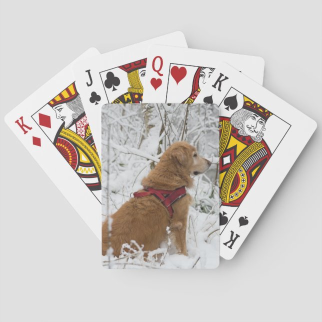 Golden Retriever Playing Cards (Back)
