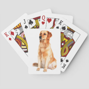 Golden Retriever Playing Cards