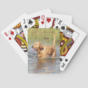 Golden Retriever Playing Cards