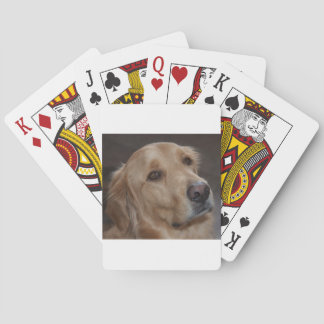 Golden Retriever Playing Cards