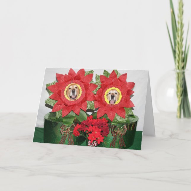 Golden Retriever Poinsettia Holiday Card (Front)