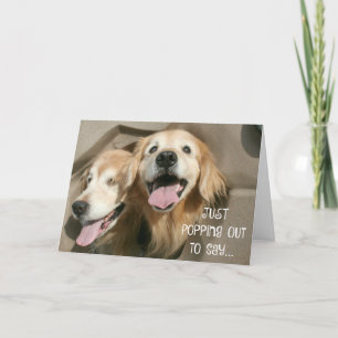 Golden Retriever Popping Out To Say You're Awesome Card