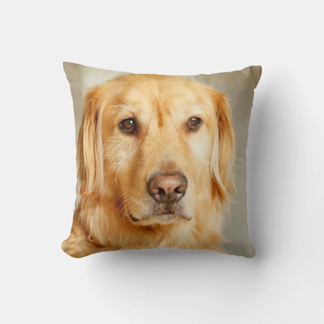 Golden Retriever Portrait Cushion (Front)