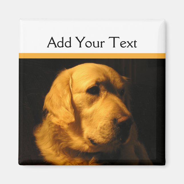 Golden Retriever Portrait Magnet (Front)