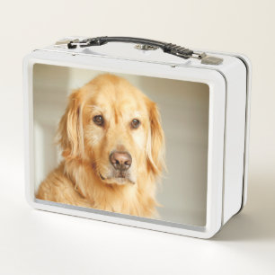 Golden Retriever Portrait Metal Lunch Box