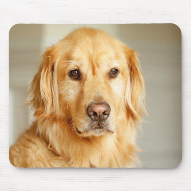 Golden Retriever Portrait Mouse Mat (Front)