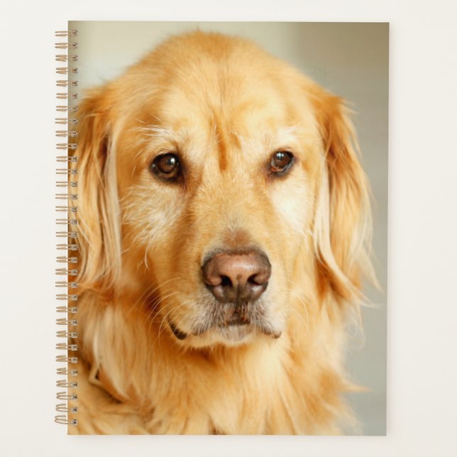 Golden Retriever Portrait Planner (Front)