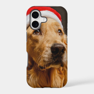 Golden Retriever posing for his Christmas