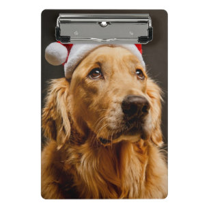Golden Retriever posing for his Christmas Mini Clipboard