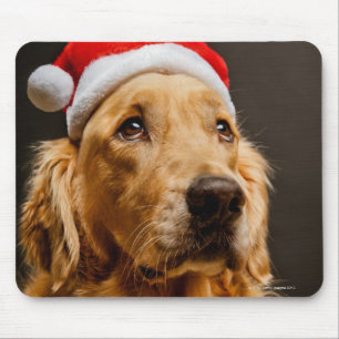 Golden Retriever posing for his Christmas Mouse Mat