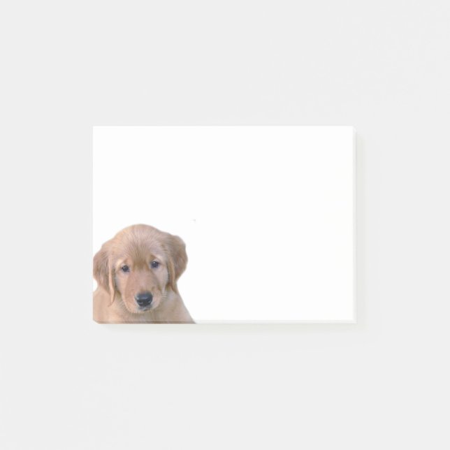 Golden Retriever Post-It Note Pad (Front)