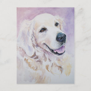 Golden retriever postcard