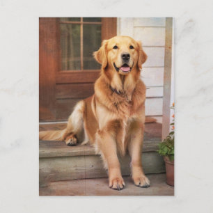 Golden Retriever Postcard