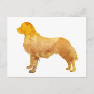 Golden Retriever Postcard