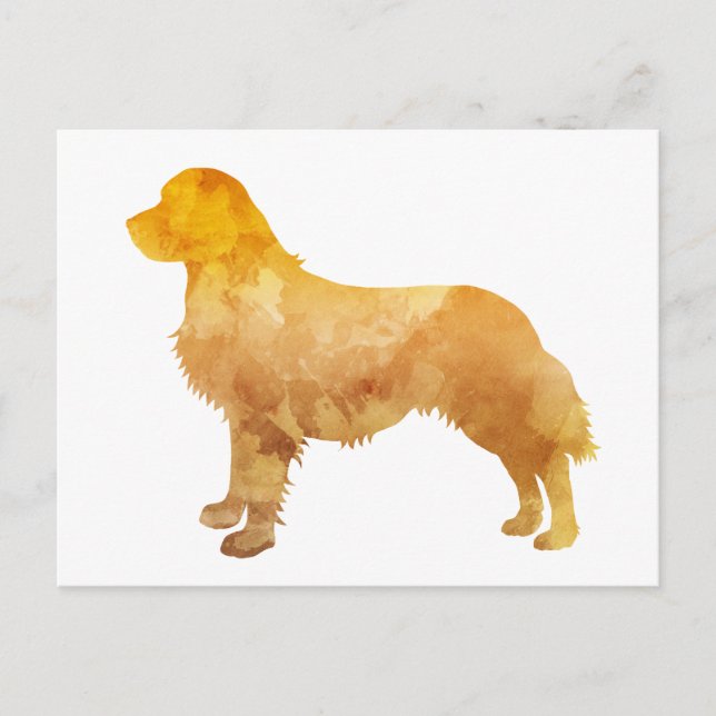 Golden Retriever Postcard (Front)