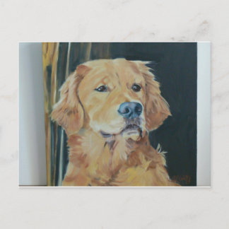 Golden Retriever Postcard