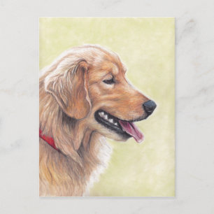 Golden Retriever Profile Dog Art Postcard