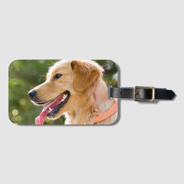 Golden Retriever Profile With Tongue Out Luggage Tag (Front Horizontal)