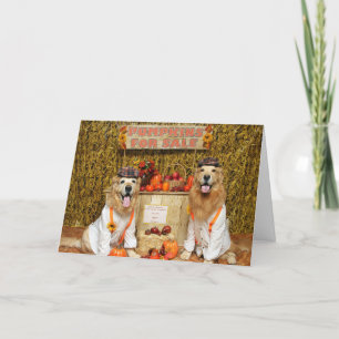 Golden Retriever Pumpkin Stand Halloween Card