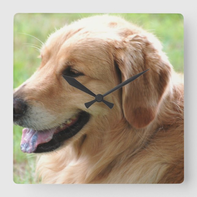 Golden Retriever Pup Clock (Front)
