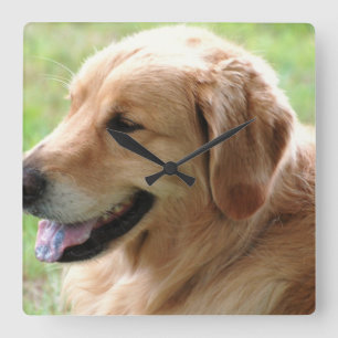 Golden Retriever Pup Clock