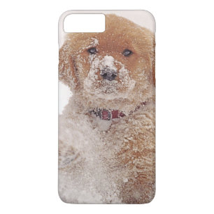Golden Retriever Pup in Snow iPhone 8 Plus/7 Plus Case