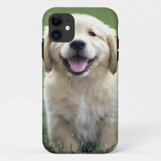 Golden Retriever Pup iPhone Case