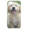 Golden Retriever Pup iPhone Case
