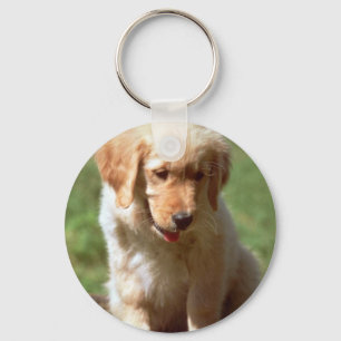 Golden Retriever pup Key Ring