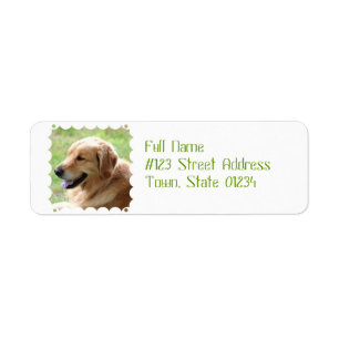 Golden Retriever Pup Mailing Labels