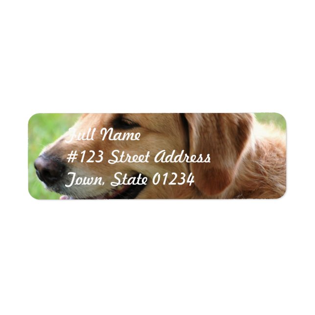 Golden Retriever Pup Mailing Labels (Front)