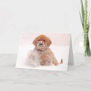 Golden Retriever Pup Playing in Snow Holiday Card