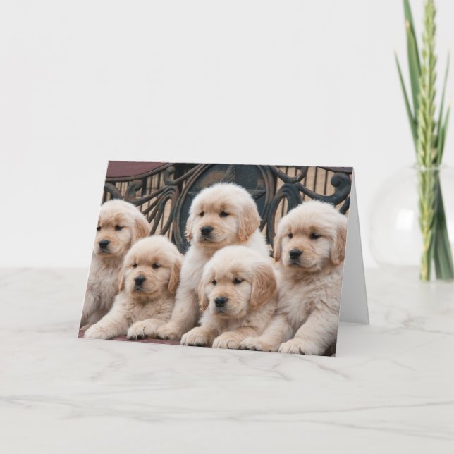 Golden Retriever Puppies Card (Front)