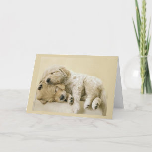 Golden Retriever Puppies Card