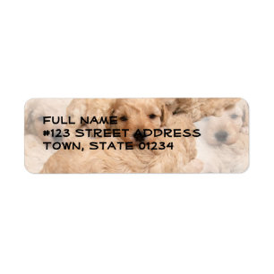 Golden Retriever Puppies Collage Mailing Label