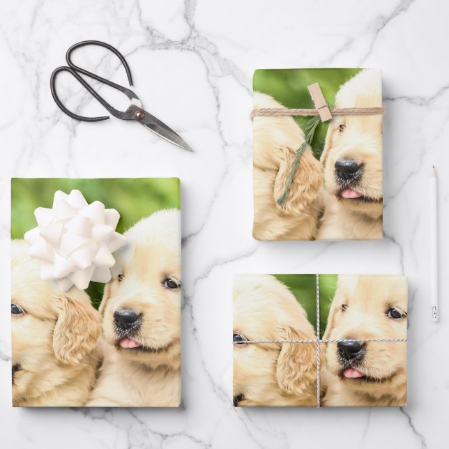 Golden Retriever Puppies in a Row Wrapping Paper Sheet (Front)
