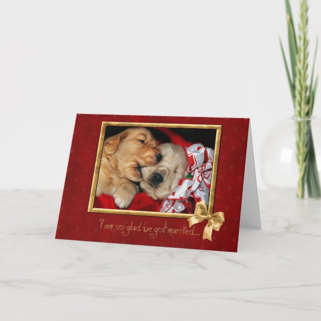 Golden Retriever puppies love anniversary Card (Front)