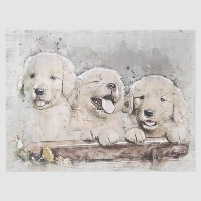Golden Retriever Puppies Tissue Paper (Front)