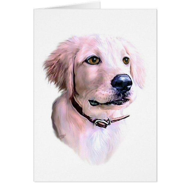 Golden Retriever Puppy (Front)