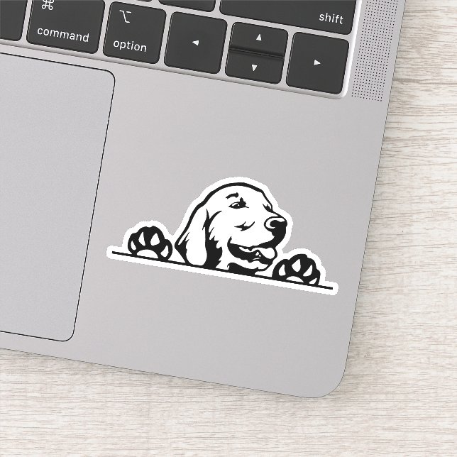 Golden retriever puppy (Detail)