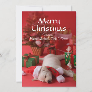 Golden Retriever Puppy and Christmas 2 Holiday Card