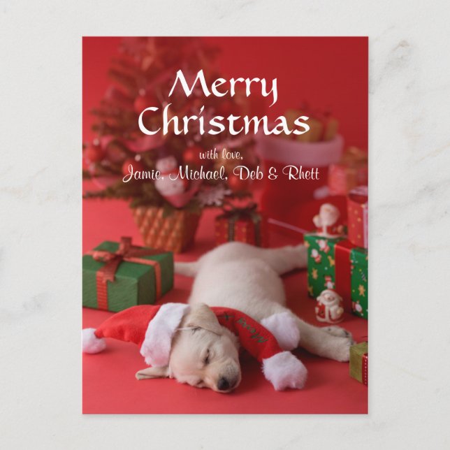 Golden Retriever Puppy and Christmas 2 Holiday Postcard (Front)