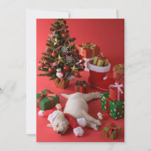 Golden Retriever Puppy and Christmas Holiday Card